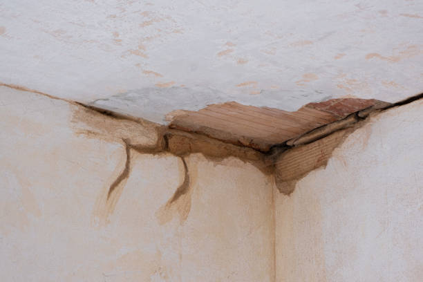 Best 24/7 water damage repair  in Bel Air North, MD