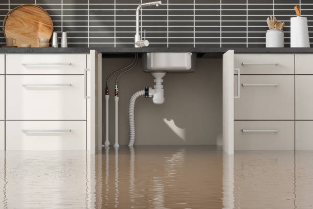 Best Ceiling water damage repair  in Bel Air North, MD